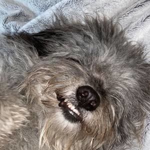 Meet your Posher, Nichole